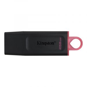 Kingston DataTraveler DTX 256GB USB 3.2 Gen1 Negro