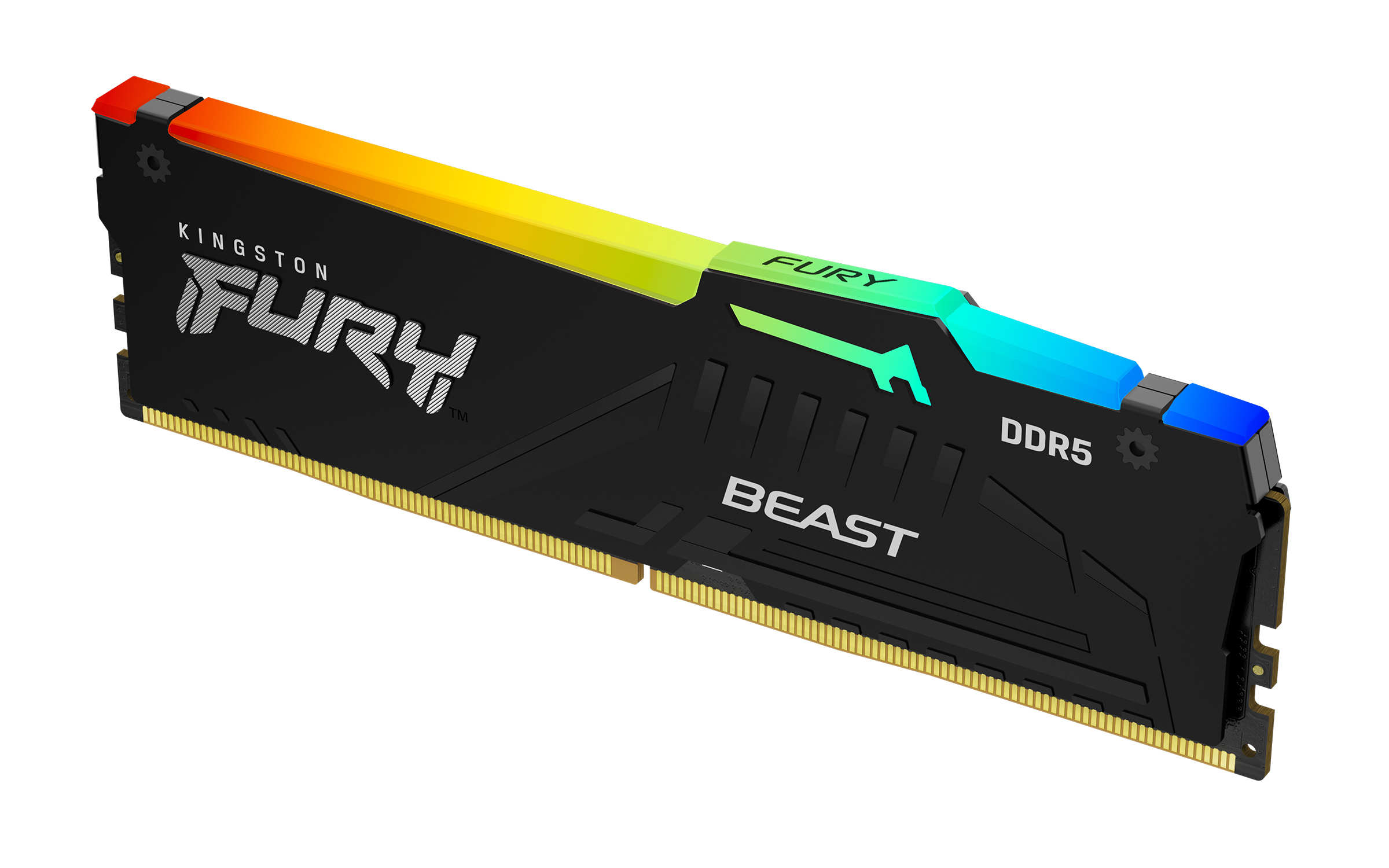 DDR5 64 GB 5600 Mhz. RGB KINGSTON